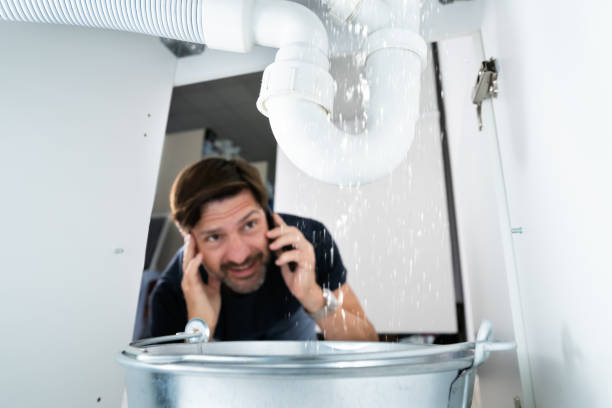 Best Affordable Plumbing Services  in Trenton, IL