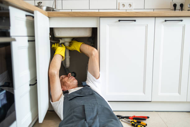 Best Toilet Repair Services  in Trenton, IL