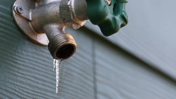Best Water Heater Repair  in Trenton, IL