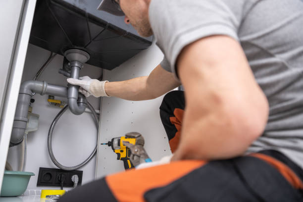 Best Clogged Drain Plumber  in Trenton, IL
