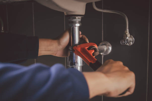 Best Same-Day Plumbing Service  in Trenton, IL