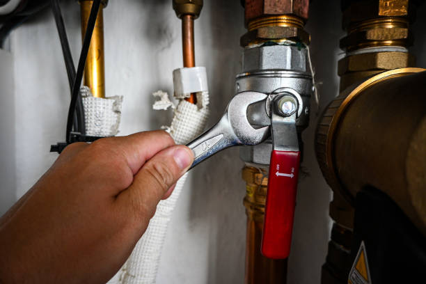 Best Leak Detection Services  in Trenton, IL